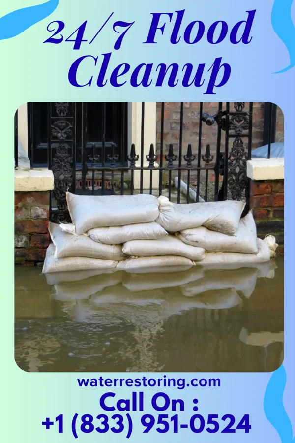24/7 Flood Cleanup in Grimesland, NC