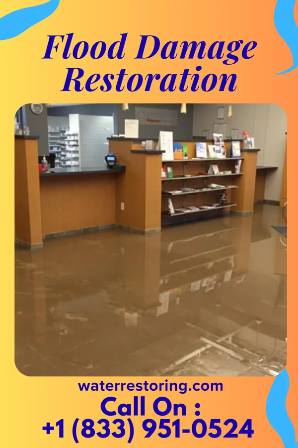 Flood Damage Restoration in Grimesland, NC