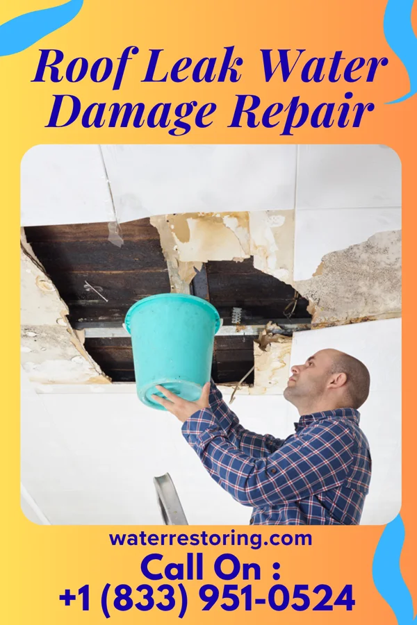 Roof Leak Water Damage Repair in Grimesland, NC
