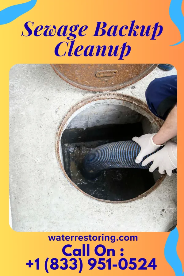 Sewage Backup Cleanup in Grimesland, NC